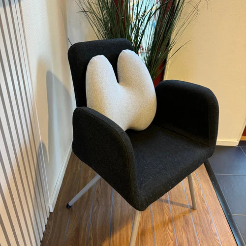 Orthopedic Back Pillow