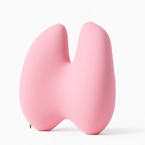 Orthopedic Back Pillow